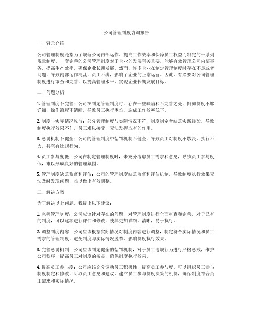 公司管理制度咨询报告