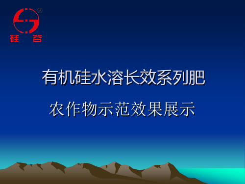 河北硅谷肥业有限公司效果展示