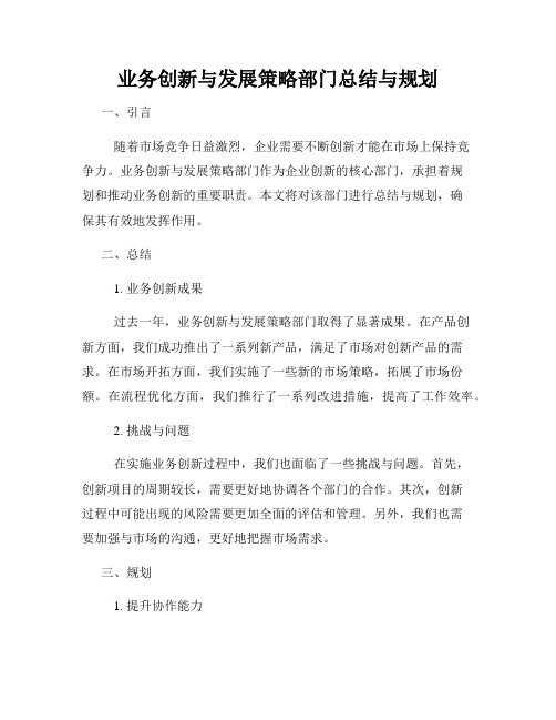 业务创新与发展策略部门总结与规划