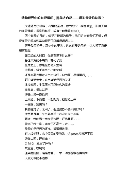 动物世界中的有爱瞬间，醉美大自然——哪对最让你动容？