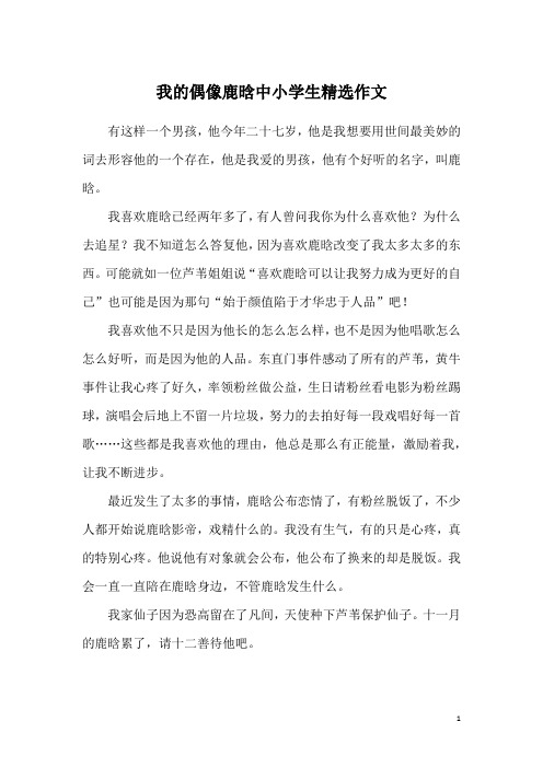 我的偶像鹿晗中小学生精选作文