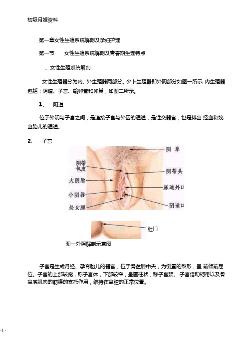 初级月嫂内容