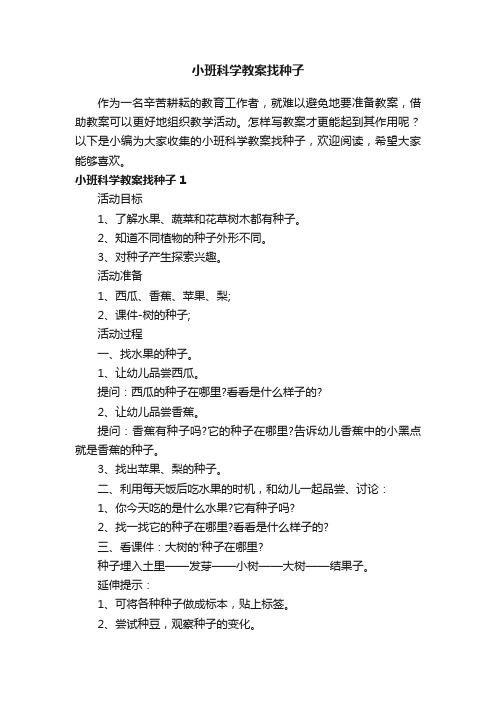 小班科学教案找种子