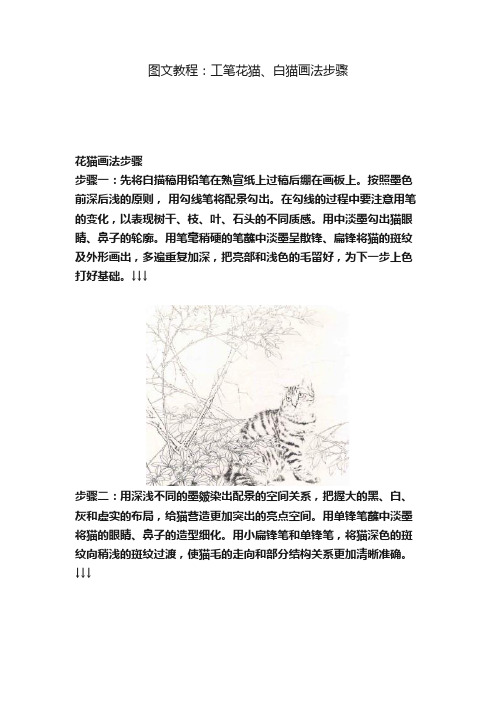 图文教程：工笔花猫、白猫画法步骤