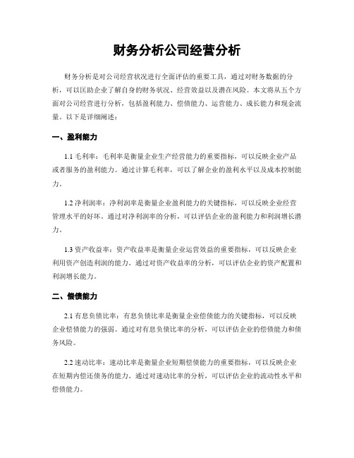 财务分析公司经营分析