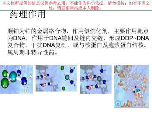 顺铂的治疗和应用培训课件