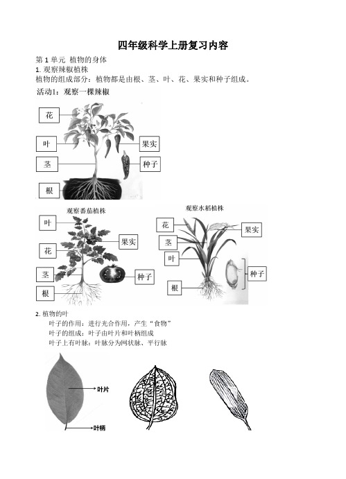 四年级上册科学素材复习提纲粤教版