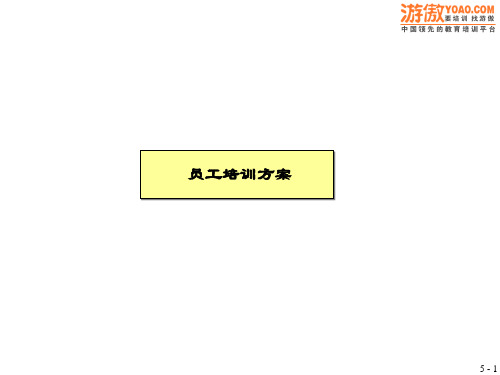 麦肯锡员工培训方案(PPT 29页)