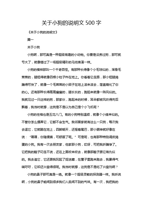 关于小狗的说明文500字