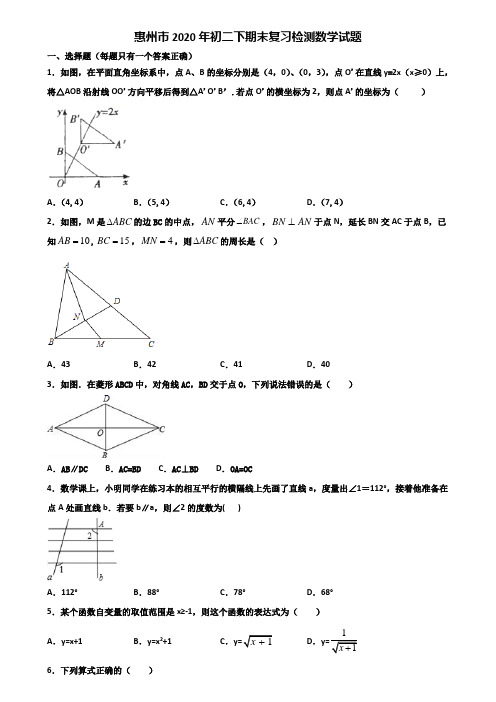 惠州市2020年初二下期末复习检测数学试题含解析