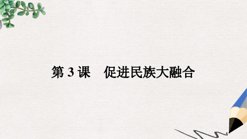 2019秋高中历史第三单元北魏孝文帝改革3.3促进民族大融合课件新人教版选修1