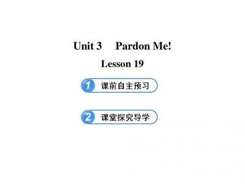 冀教版九年级下Unit3 Pardon Me!Lesson 19课件(共20张PPT)