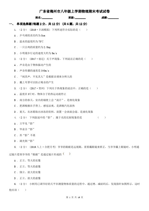 广东省梅州市八年级上学期物理期末考试试卷