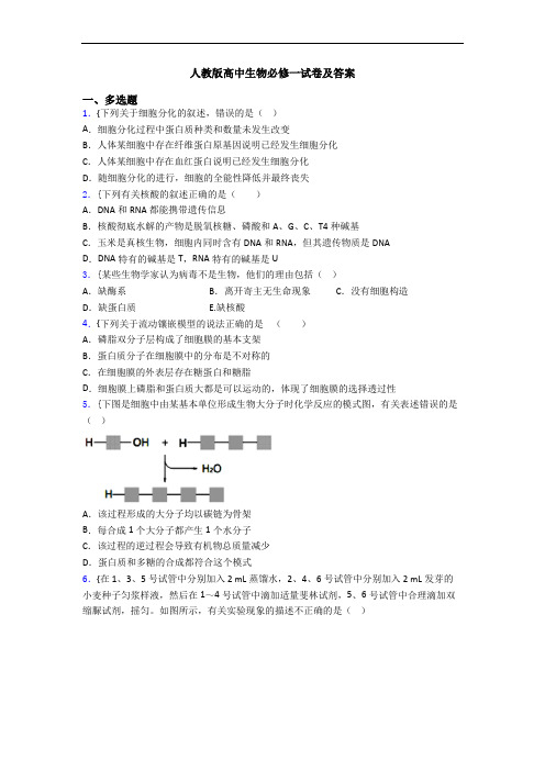 人教版高中生物必修一试卷及答案