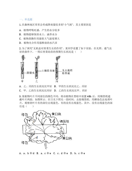 北师大版生物 七年级上册 第3单元 生物圈中的绿色植物 课后练习题