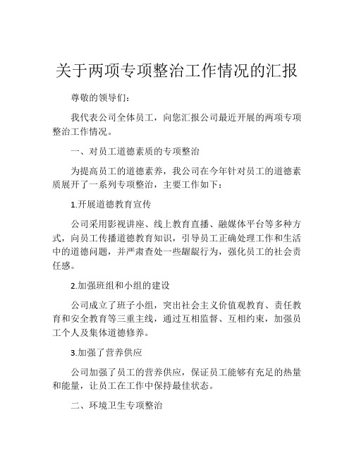 关于两项专项整治工作情况的汇报