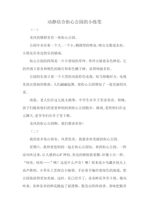 动静结合街心公园的小练笔