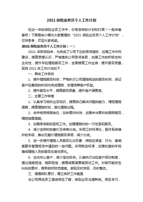 2021保险业务员个人工作计划