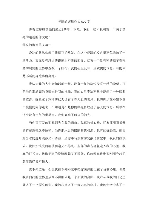 美丽的邂逅作文600字