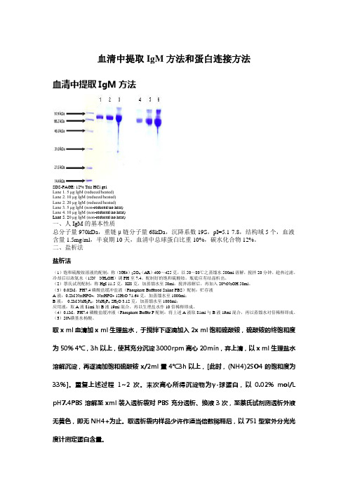 血清中提取IgM方法和蛋白连接方法