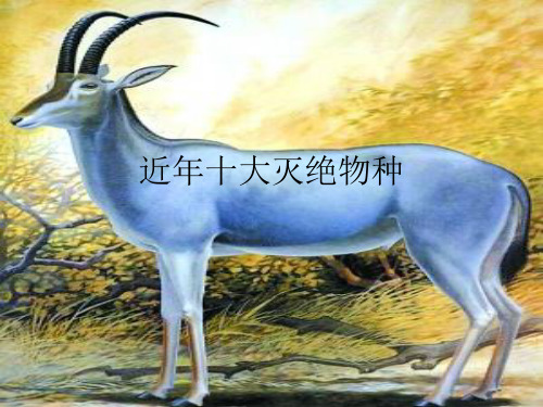 近年十大灭绝物种