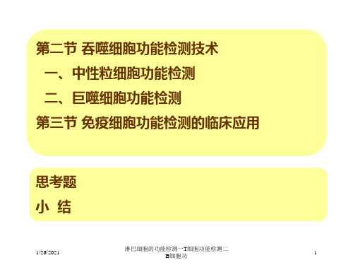 淋巴细胞的功能检测一T细胞功能检测二B细胞功培训课件