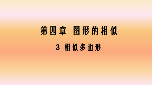 2019年秋北师大版九年级数学上册课件：4.3相似多边形(共10张PPT)