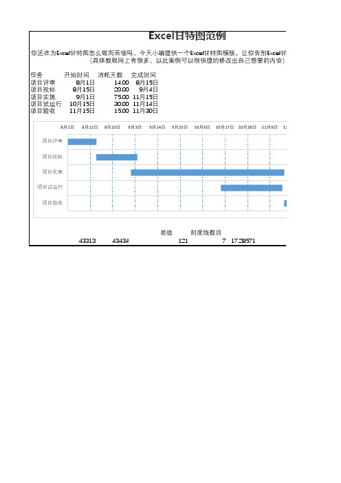 项目推进计划 - 甘特图