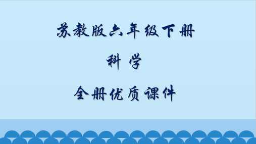 苏教版六年级下册科学全册课件