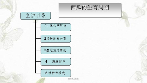 西瓜的生育周期课件