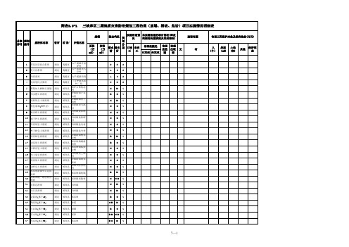 二期工程治理项目实施明细表.xls