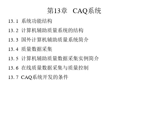 CAQ技术