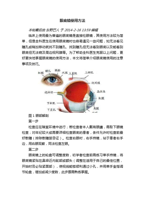 眼底镜使用方法