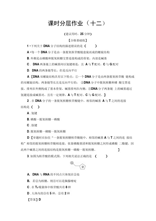 2019-2020学年中图版生物必修二课时分层作业：12DNA的分子结构Word版含解析