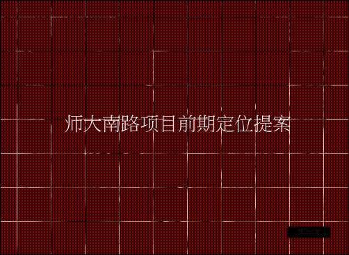 2019南昌师大南路项目前期定位提案104P