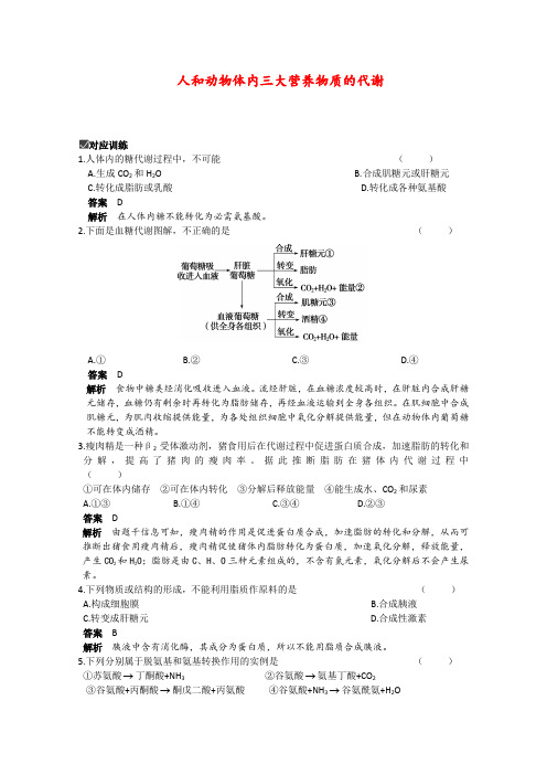 高三生物高考精品导与练人和动物体内三大营养物质的代谢