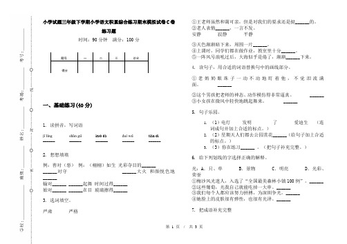 小学试题三年级下学期小学语文积累综合练习期末模拟试卷C卷练习题