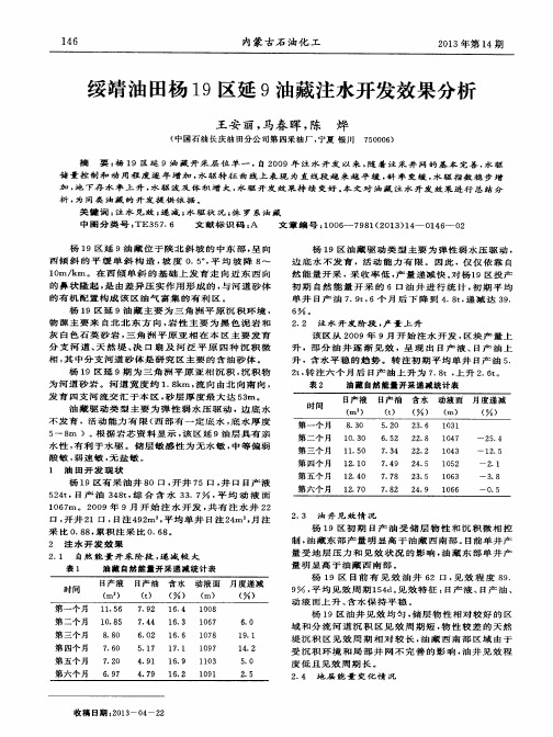 绥靖油田杨19区延9油藏注水开发效果分析