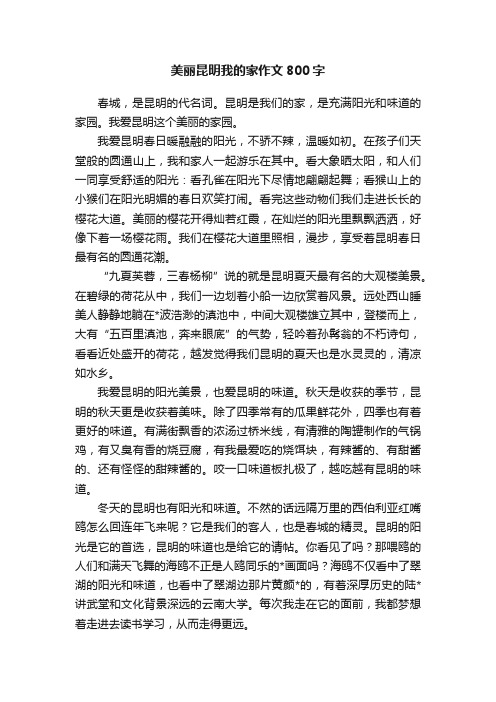 美丽昆明我的家作文800字