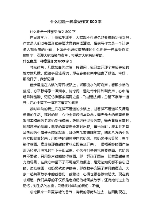 什么也是一种享受作文800字