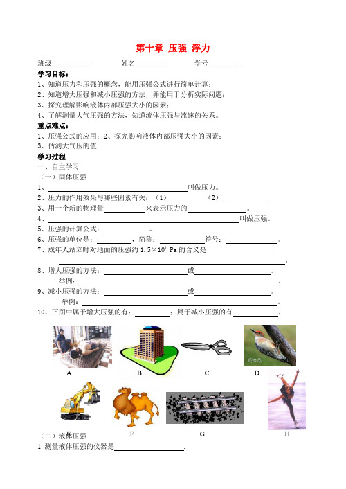 江苏省高邮市龙虬初级中学中考物理一轮复习 第10章 压强 浮力导学案1(无答案)