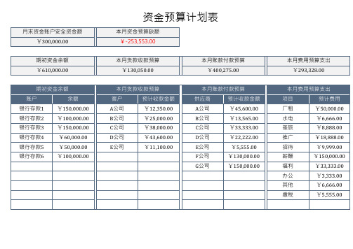 资金预算计划表