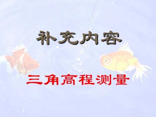 补充 三角高程测量