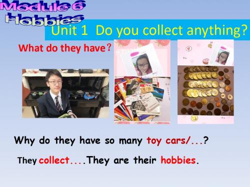 初二下外研版Module 6 Hobbies》Unit 1 Do you collect anything_(共17张PPT))