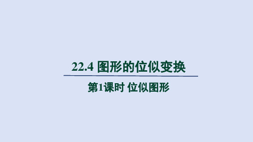 沪科九年级数学上册第22章4  第1课时 位似图形