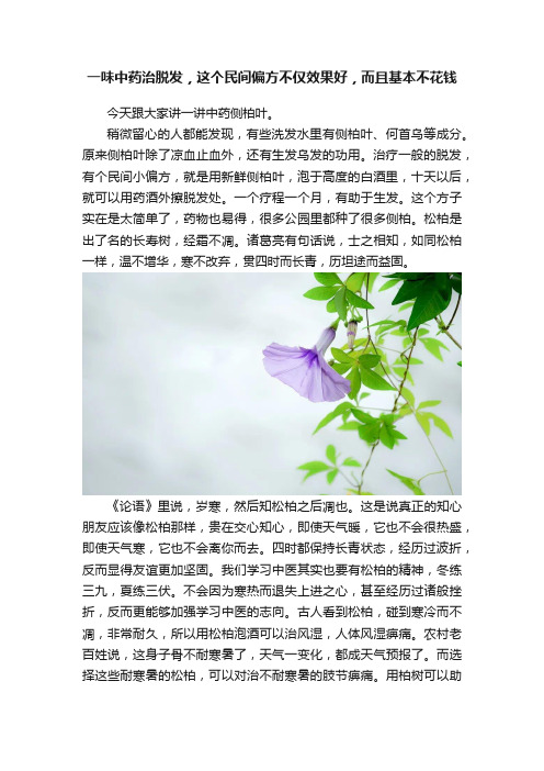 一味中药治脱发，这个民间偏方不仅效果好，而且基本不花钱