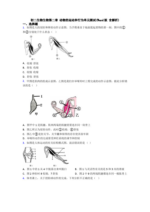 初二生物生物第二章 动物的运动和行为单元测试(Word版 含解析)