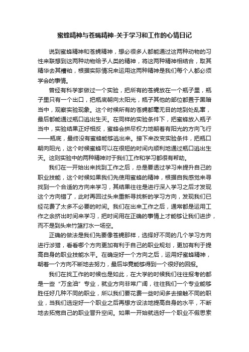 蜜蜂精神与苍蝇精神-关于学习和工作的心情日记