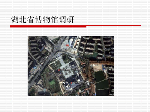 湖北省博物馆调研分析