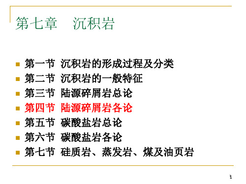 地质学第六章4碎屑岩各论